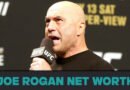 Joe Rogan Net Worth