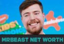 MrBeast Net Worth