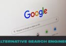 Alternative Search Engines