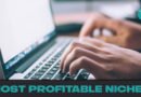 Most Profitable Niches