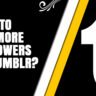 How to Get More Followers On Tumblr